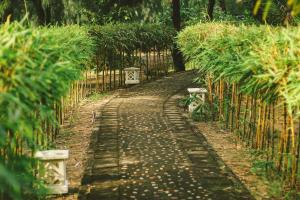 villa louise hue beach hotel