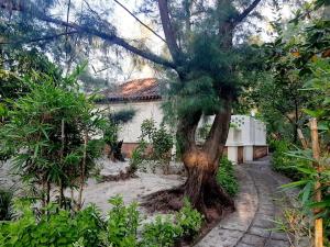 villa louise hue beach hotel