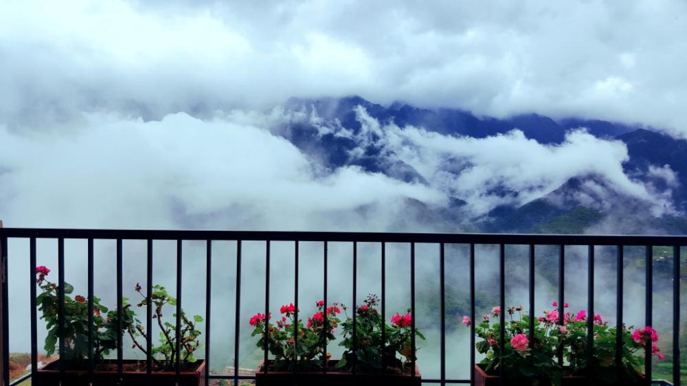 sapa odyssey hostel adults only