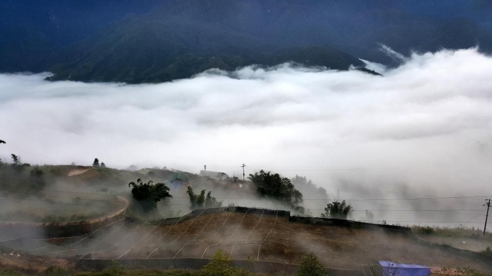 sapa odyssey hostel adults only