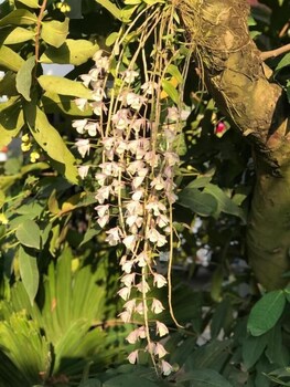 trendy life villa hoi an