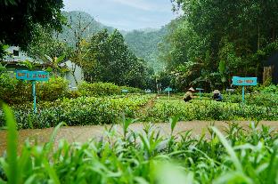 chay lap farmstay