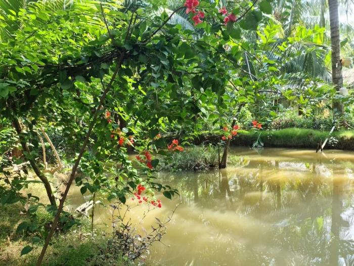 mekong home