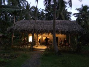 mekong home