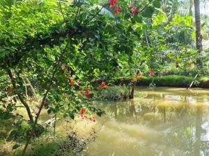 mekong home