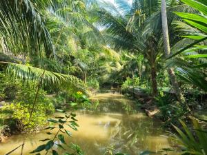 mekong home