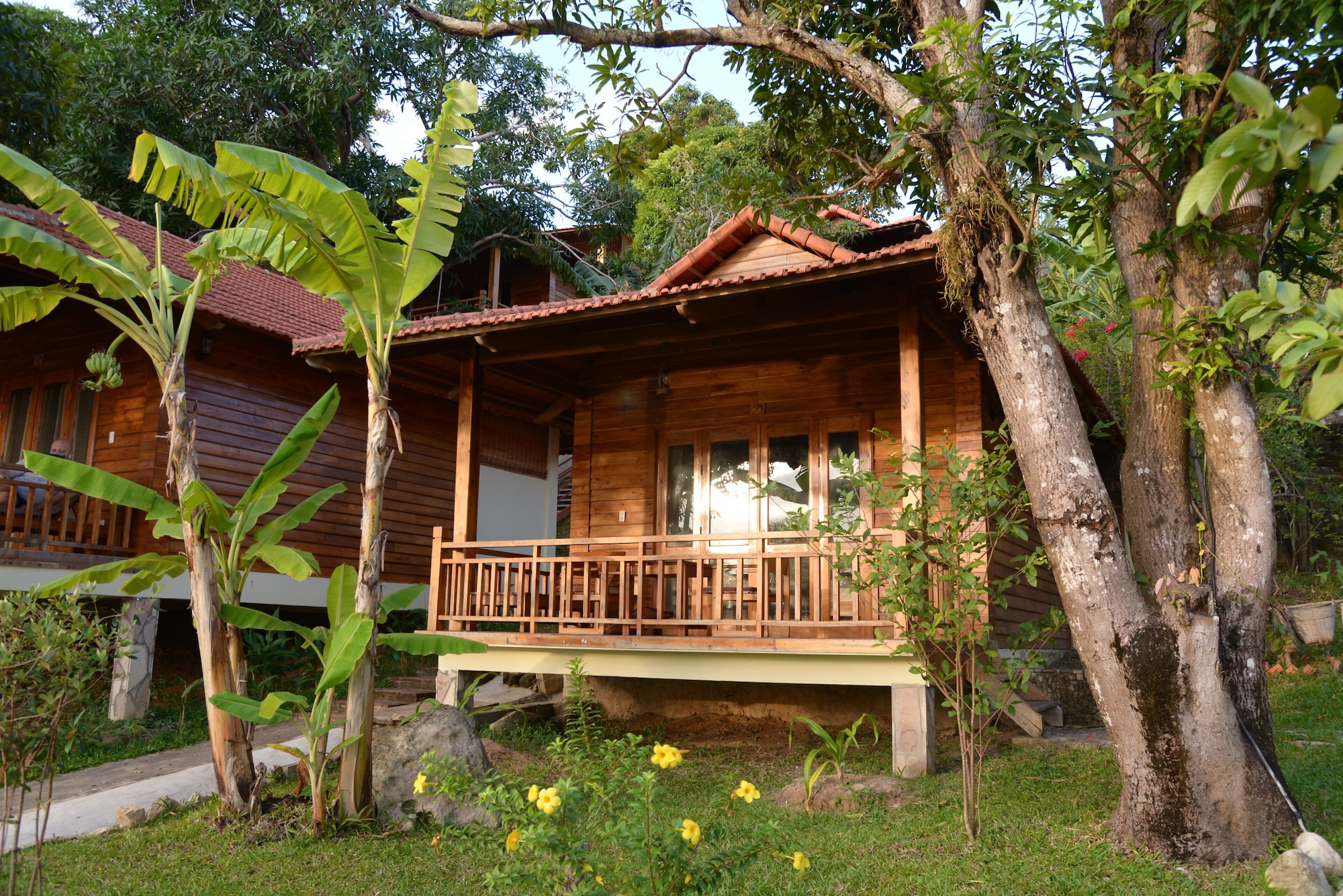 mango beach resort