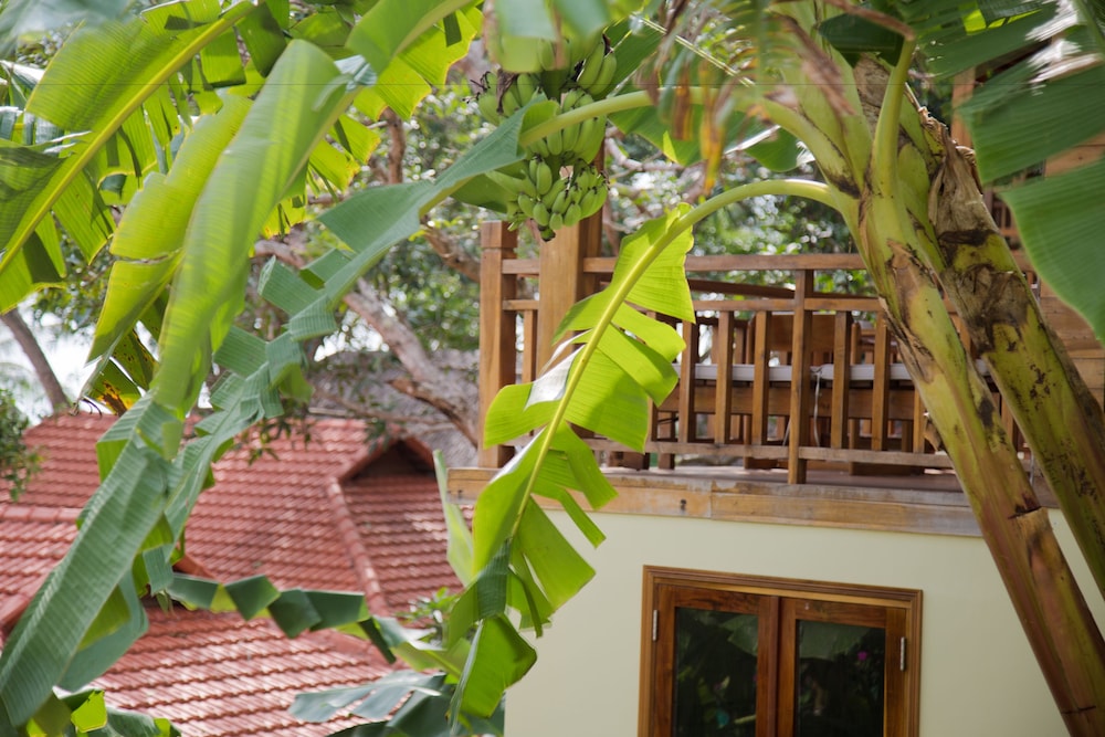 mango beach resort