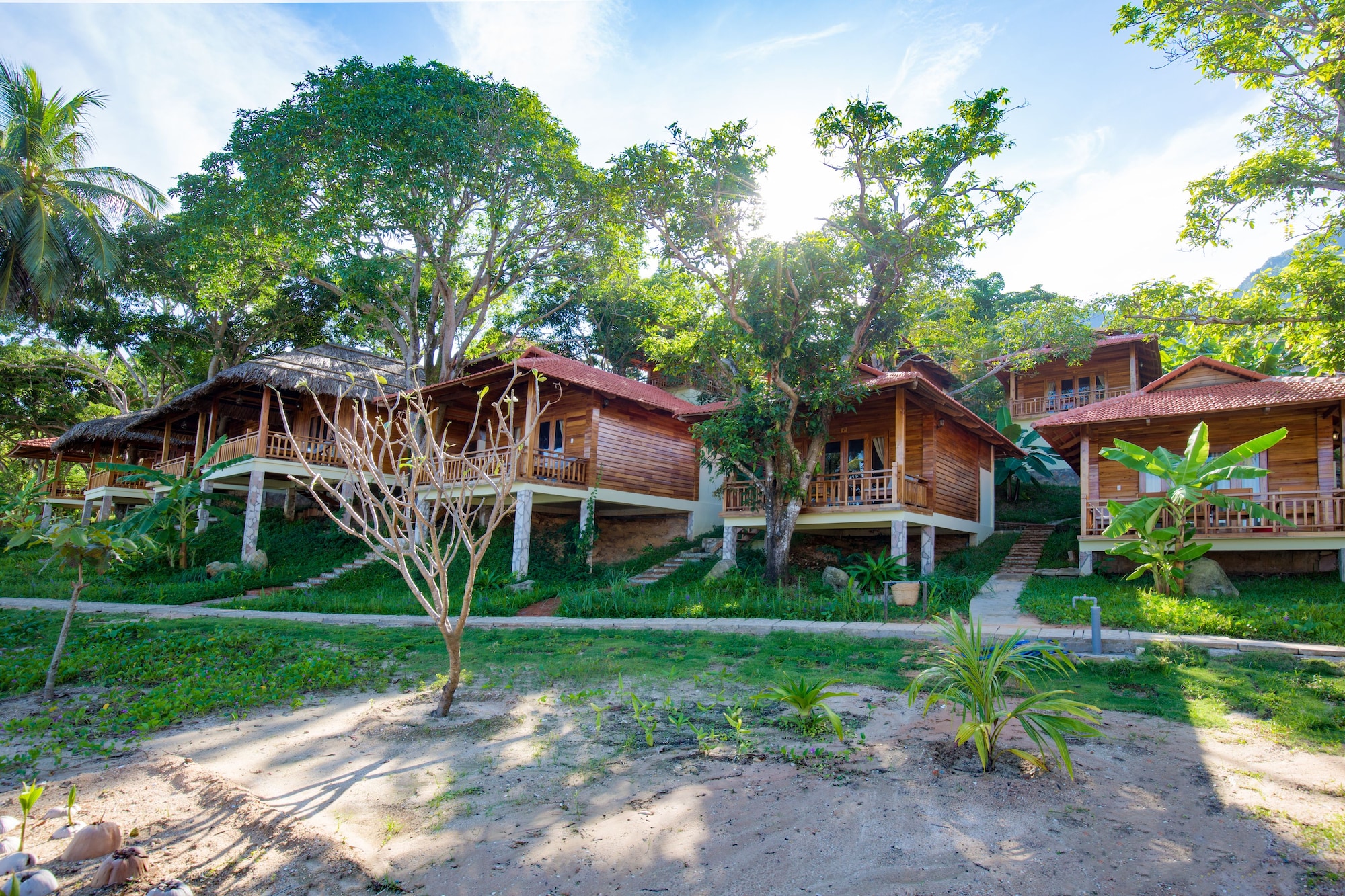 mango beach resort