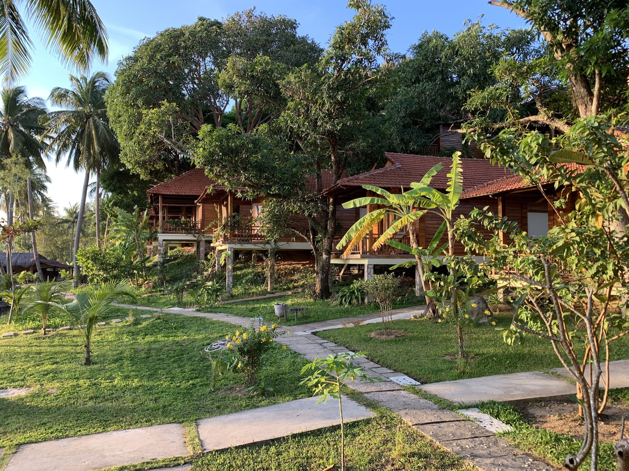 mango beach resort