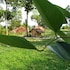mango beach resort