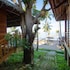 mango beach resort