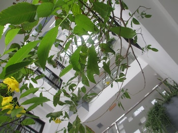 ale nhatrang hotel