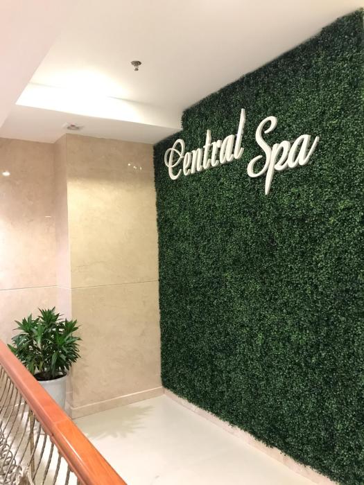 central hotel and spa