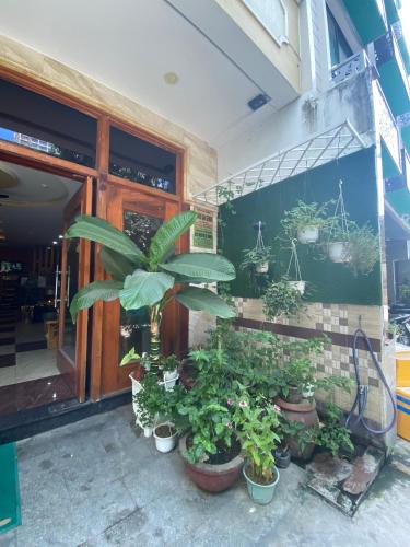 senkotel nha trang managed by nest group