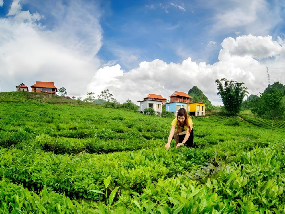moc chau arena village
