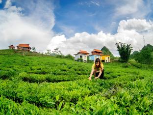 moc chau arena village
