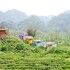 moc chau