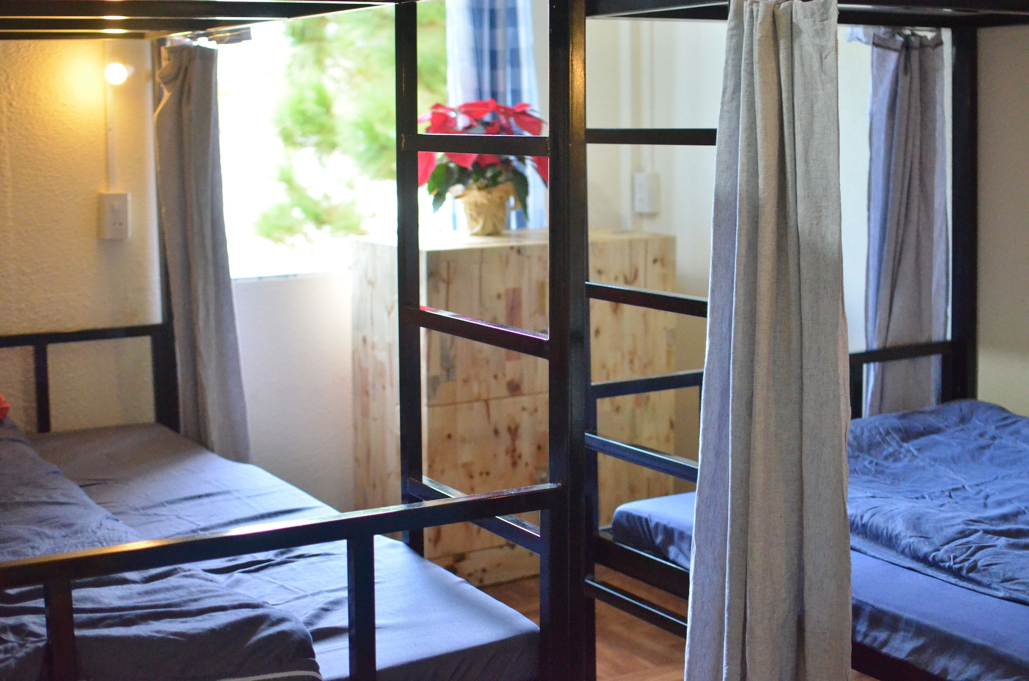 the lake house dalat hostel