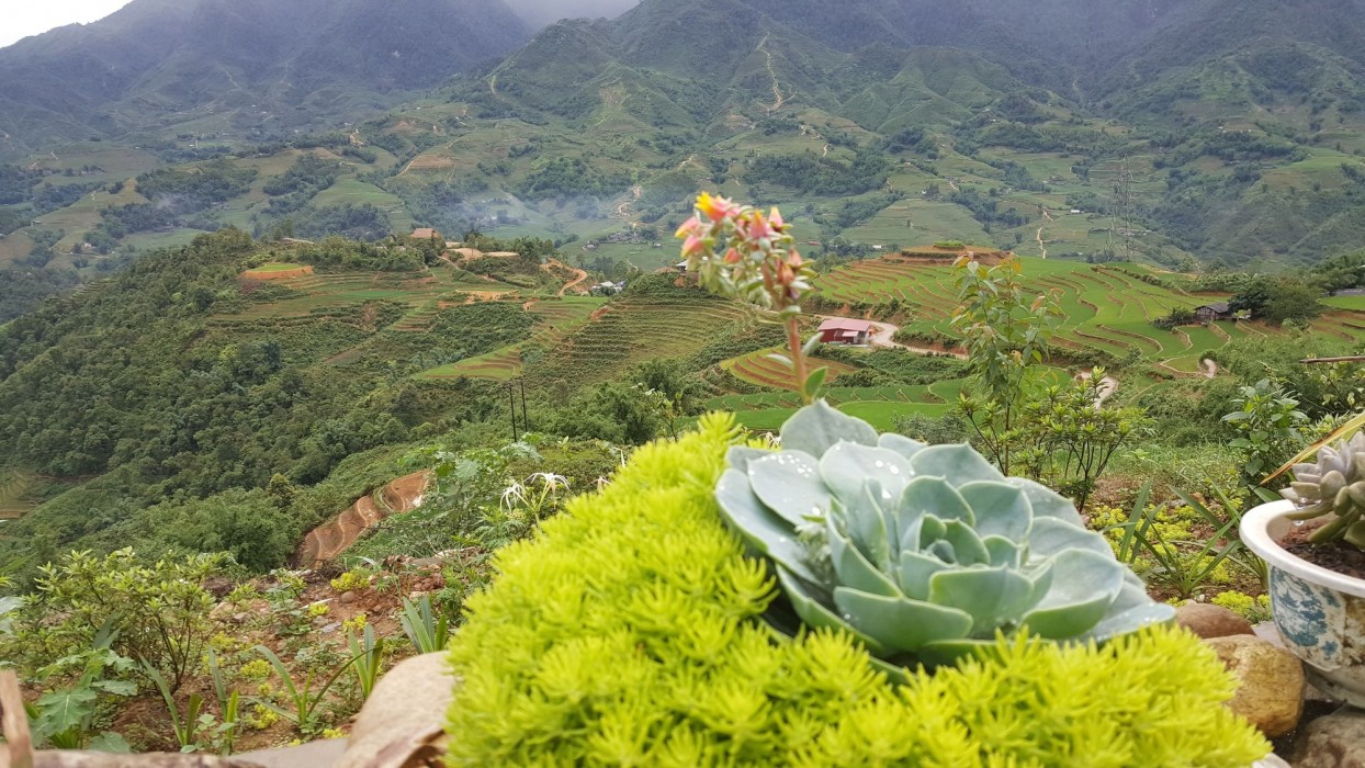 Sapa Clay House - Mountain Retreat,Lao Cai Province>>Lao Cai,3 star