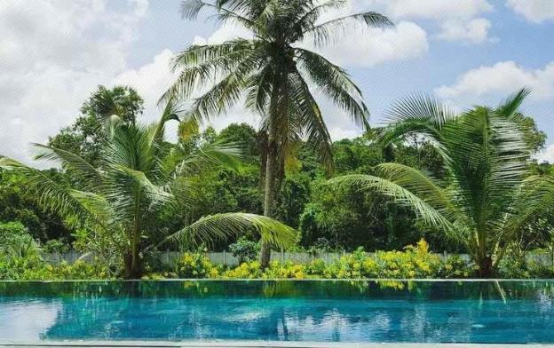 phu quoc