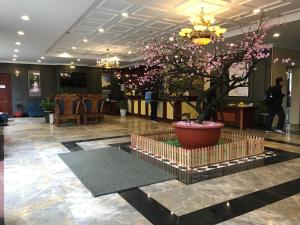 sapa lodge hotel