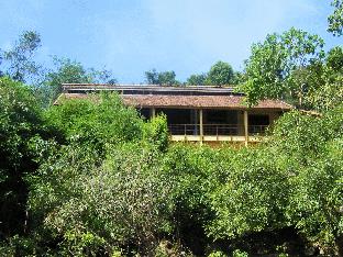 forest floor lodge