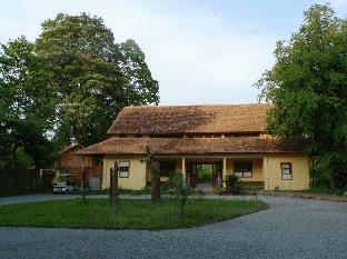 forest floor lodge