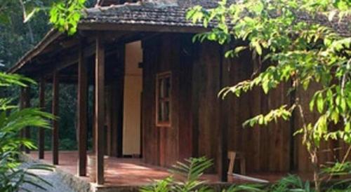forest floor lodge