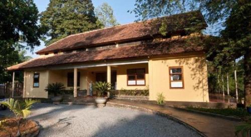 forest floor lodge