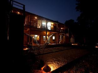 forest floor lodge