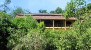 forest floor lodge