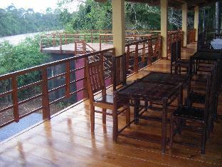 forest floor lodge