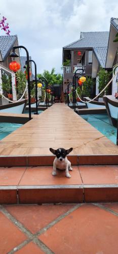 hoi an coco bungalows