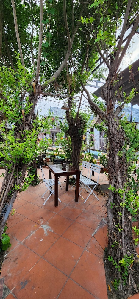hoi an coco bungalows