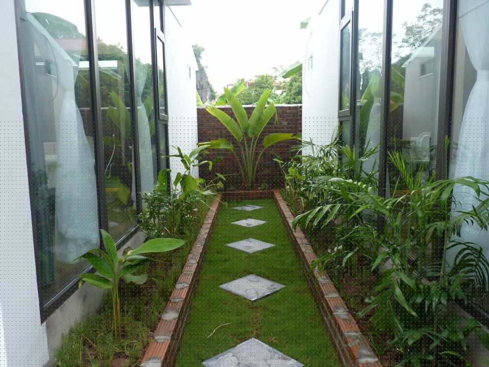 hoa lu