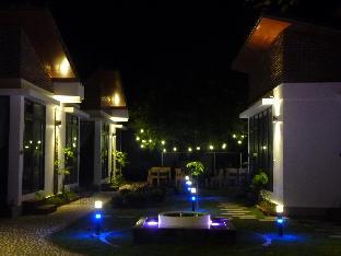 hoa lu