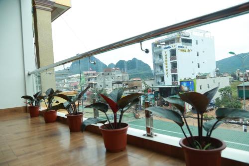 gold plus hotel