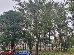 star hotel hai duong