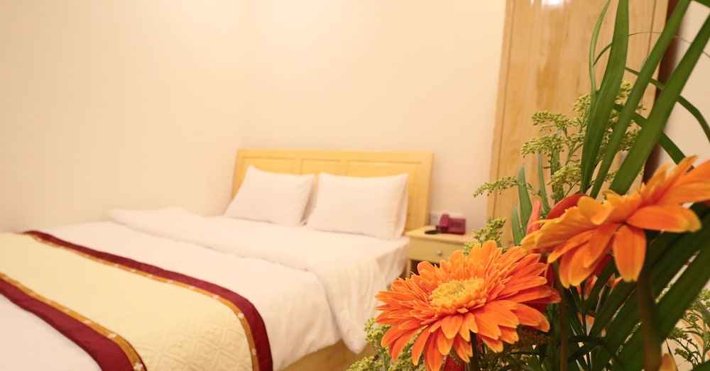 mai hoang hotel