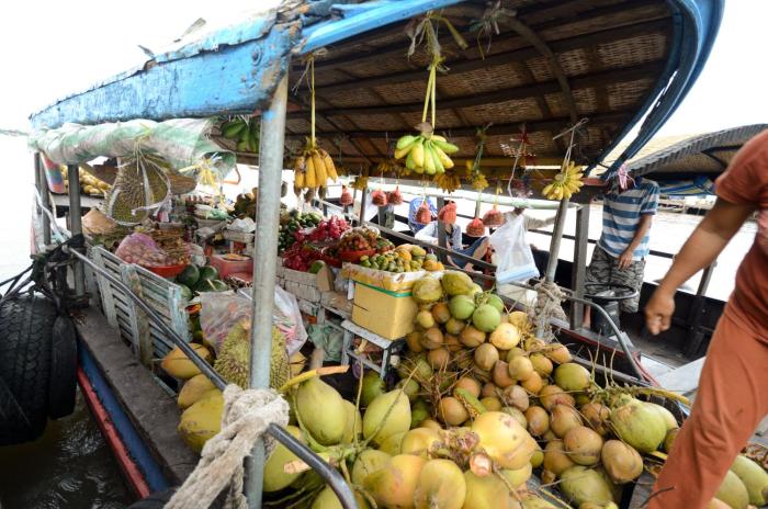 the durian lodge at mekong