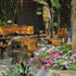 hoang giang homestay