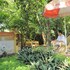 hoang giang homestay