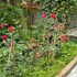 hoang giang homestay