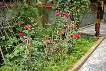 hoang giang homestay