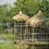 hoang giang homestay