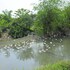 hoang giang homestay