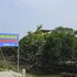 hoang giang homestay
