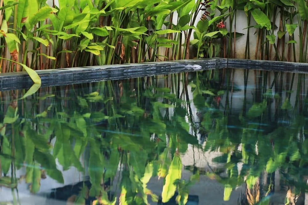 the bau bi retreat