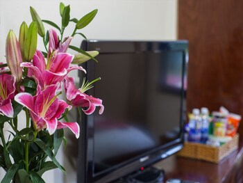 sapa friendly inn and travel